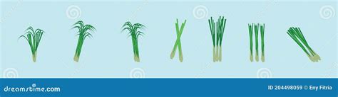 Set Of Lemongrass Cartoon Icon Design Template With Various Models