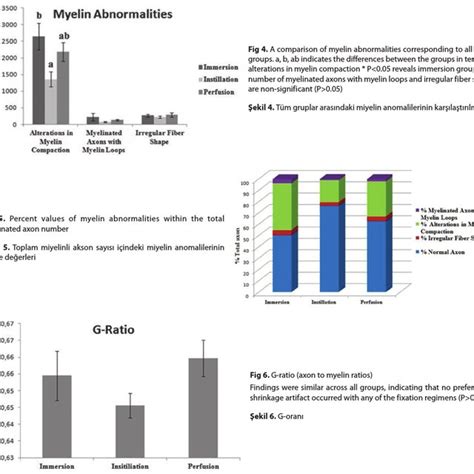 A Comparison Of The Numbers Of Total Myelinated Axons And Normal