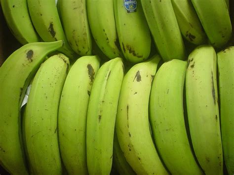 Green Plantain Fruits And Veggies Plantains Fruit