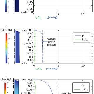 Baseline Steady State Simulation Of The Single Layer Model With