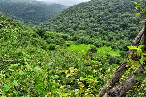 Salalah - Dhofar region in Sultanate of Oman: Mountains of Dhofar