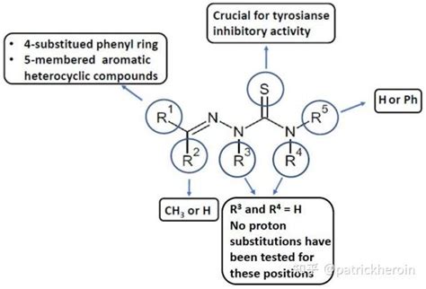 文献导读（三）具有酪氨酸酶抑制活性的氨基硫脲 知乎