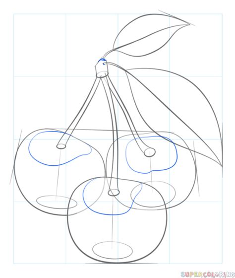 Cómo dibujar cerezas Tutorial de dibujo paso a paso