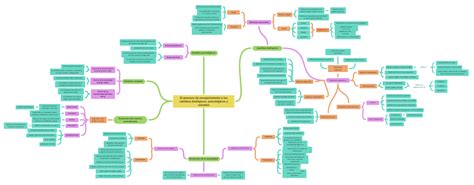 El Proceso De Envejecimiento Y Los Cambios Biológicos Psicológicos Y