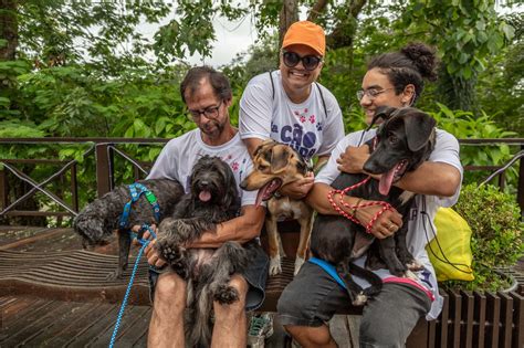 Edi O Da C Ominhada De Guararema Re Ne Mais De Cem Cachorros O Novo