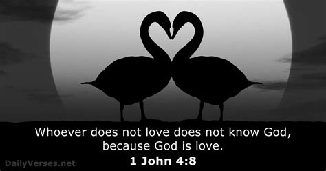 1 John 4:8 - Bible verse - DailyVerses.net