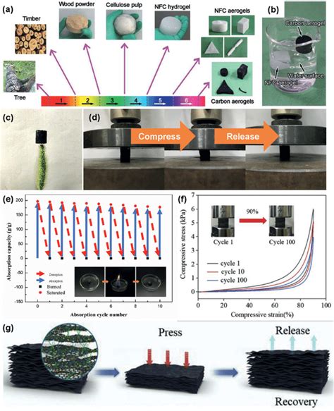 A Schematic Illustration Of Fabricating Carbonized Cnf Aerogels From