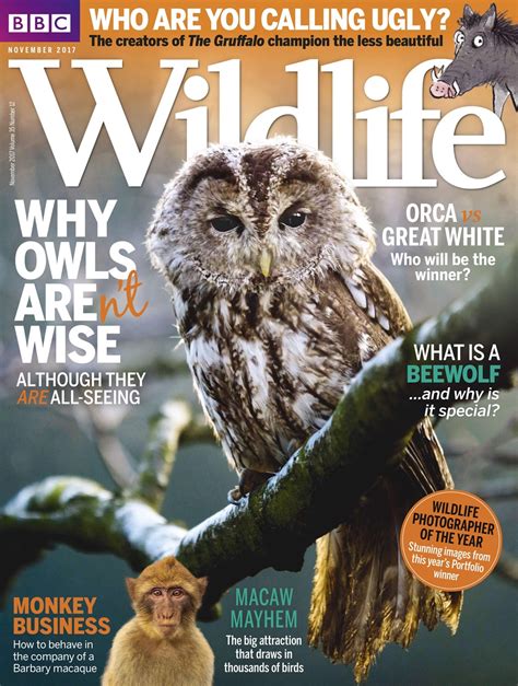 Bbc Wildlife Magazine November 2017 Subscriptions Pocketmags