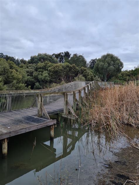 Salisbury Wetlands Nature Trail Underdown