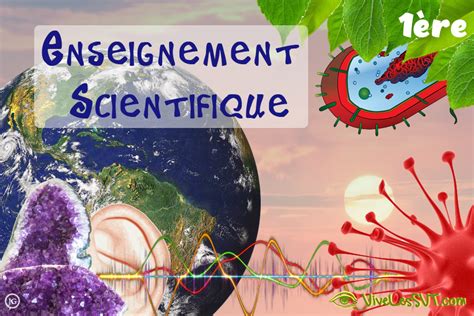 Enseignement Scientifique En Classe De Re Programme Et Cours En