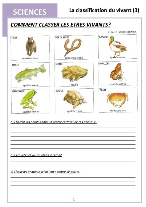 Sciences La Classification Du Vivant Comment Classer