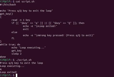 Introduction To Bash While Loop With Examples Its Linux Foss