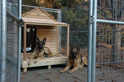 Extra Large Dog House | Extra large dog house, Big dog house, Large dog ...