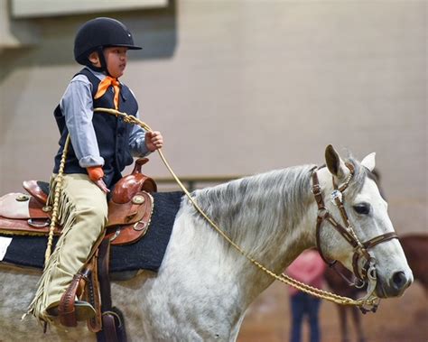 Around The Rings Photos And Results Dixie Nationals Ewd Aqha Show