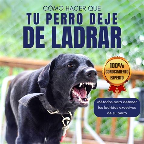 Cómo Hacer Que Tu Perro Deje De Ladrar Dennis Hercules Hotmart