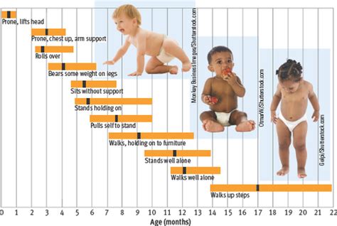 Ch Human Development Across The Life Span Flashcards Quizlet