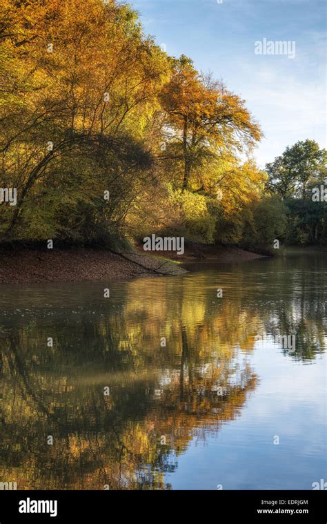 Paysage d automne avec lac Banque de photographies et dimages à haute