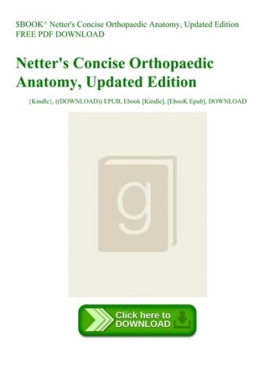 BOOK Netter 039 S Concise Orthopaedic Anatomy Updated Edition FREE