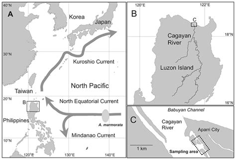 Seasonal Changes in Species Composition of Glass Eels of the Genus Anguilla (Teleostei ...