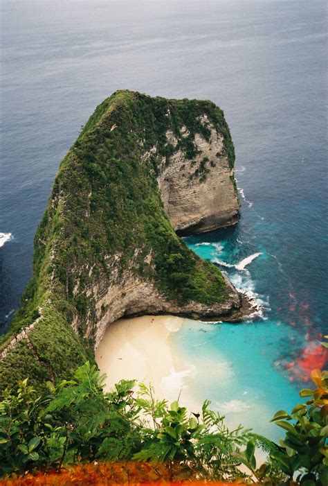 aka goikit  rex beach