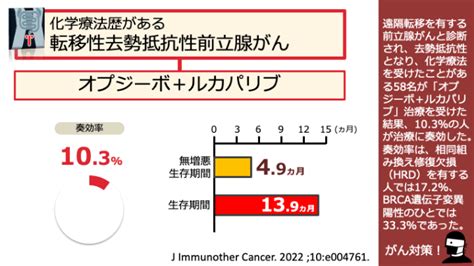 日本がん対策図鑑 【去勢抵抗性前立腺がん：二次治療（orr）】「オプジーボ＋ルカパリブ」