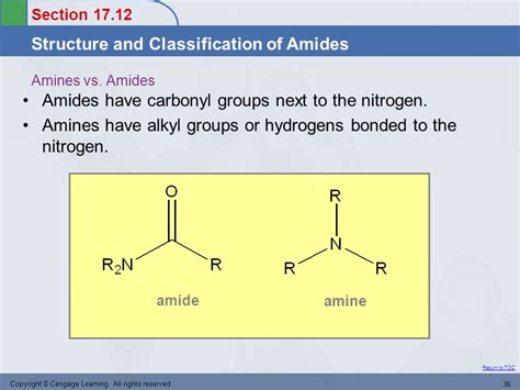 Amine Vs Amide Structure