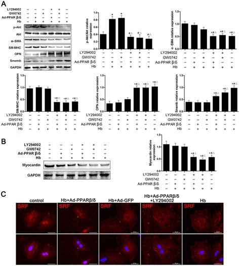 Ppar Mediated Cerebral Vsmc Phenotypic Switch Partially Through