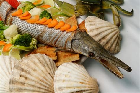 Can You Eat Alligator Gar? - Fishmasters.com