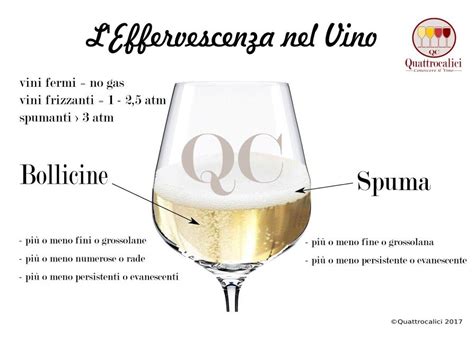 Il Perlage Del Vino Effervescenza E Bollicine Quattrocalici Vino