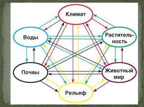 Природный комплекс - презентация онлайн