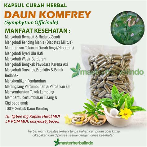 Jual Daun Komfrey Kapsul Curah Herbal Hipertensi Tonsilitis Wasir