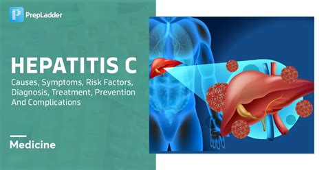 Hepatitis C Causes Symptoms Risk Factors Diagnosis Treatment