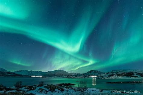 3nights - 2days Aurora Arctic Landscape Photography Workshop: Triphobo