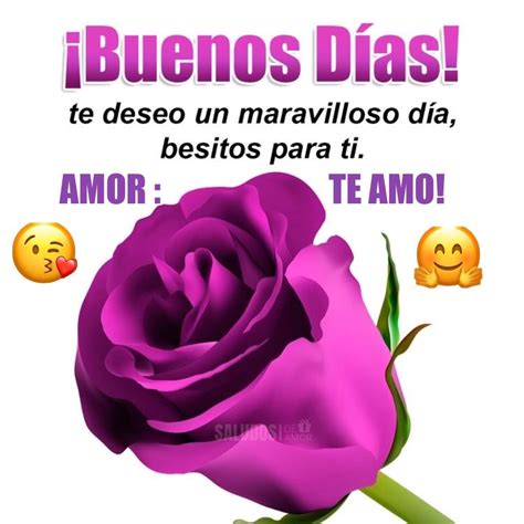 Amor Quotes Flowers Frases Good Morning Friends Gud Morning Images