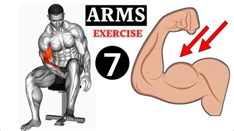 Biceps Exercise At Home How To Get Big Biceps In 1 Week Biceps