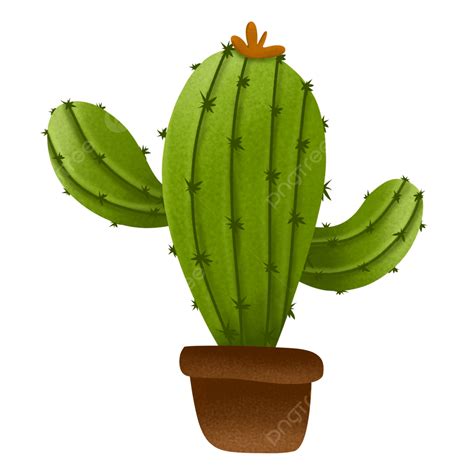 Succulent Pot White Transparent Cute Cactus Succulent Illustration