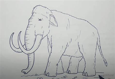 How To Draw A Woolly Mammoth Step By Step