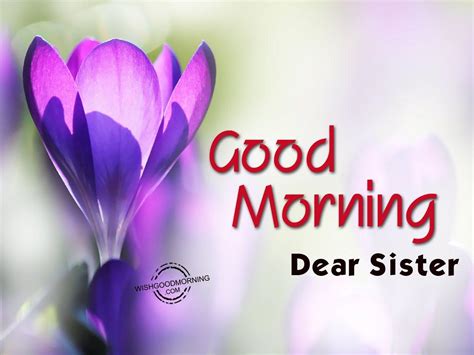 Good Morning Sister Wishes Wallpapers Wallpaper Cave