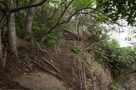 Hiking Pão de Açúcar (Sugarloaf Mountain) | Halfway Anywhere