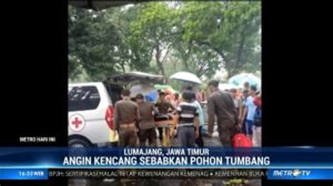 Hujan Angin Terjang Lumajang Orang Alami Luka Luka Video Dailymotion