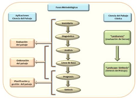 Figura N 8 Fases Metodol Gicas De La Ciencia Del Paisaje Contempor