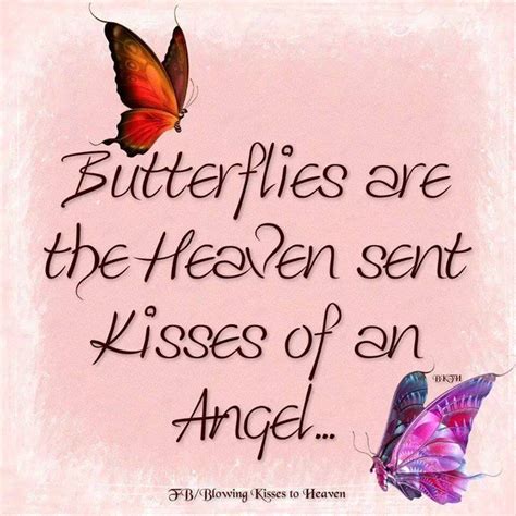 Pin On Butterflies Are Heaven Sent