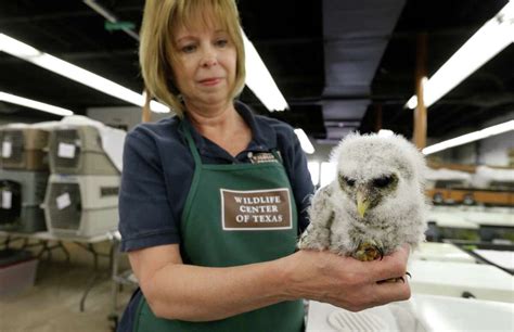 Wildlife Center Of Texas Comes To The Rescue After The Deluge