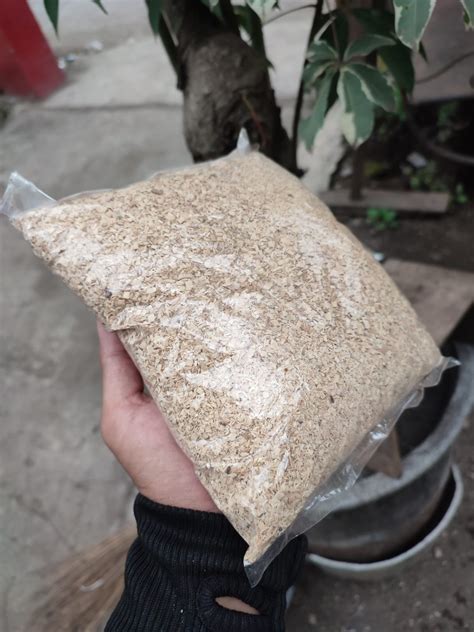 Serbuk Kayu Cendana Natural Wangi Aromaterapi Bubuk Cendana Dupa