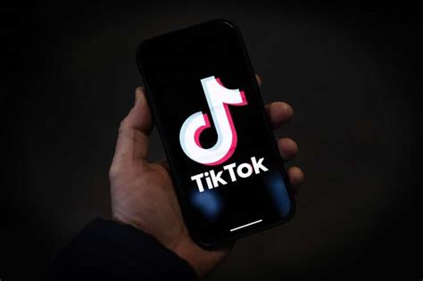 programma di creatività tiktok informazioni e requisiti novembre 24 2024