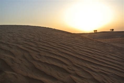 Free Images Landscape Nature Sand Sky Wood Arid Desert Dune