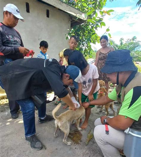 Waspada Rabies 1 Warga Melawi Jadi Korban Gigitan Anjing Melawinews