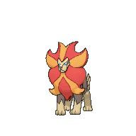 Pyroar | Pokémon Wiki | FANDOM powered by Wikia