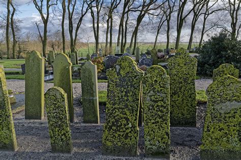 Cemetery Trees Green Free Photo On Pixabay Pixabay