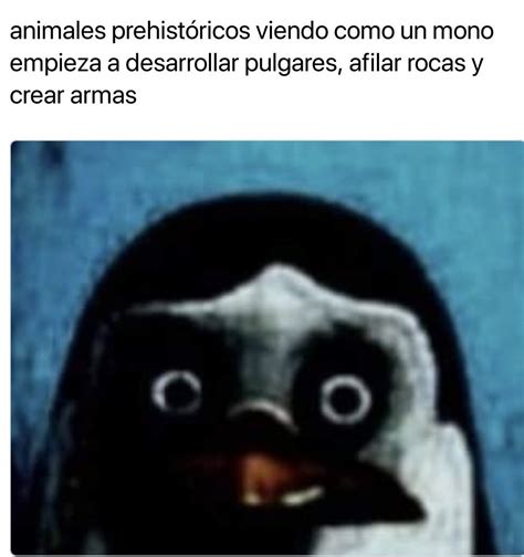 Meme Del Pinguino Con Ansia Sociale